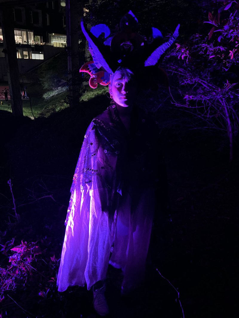 Person in elaborate costume with horns and flowing cape, illuminated by purple light in a dark outdoor setting.