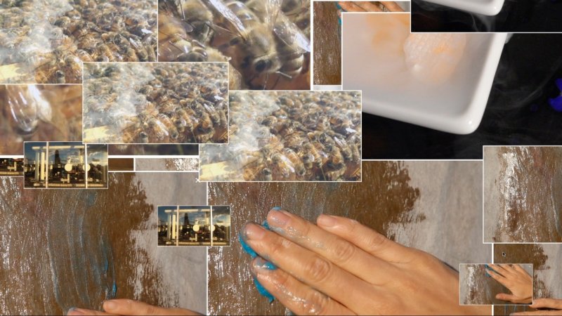 Collage of bees, a hand applying blue paint, city reflections, and a white dish with smoke, in warm brown and blue tones.