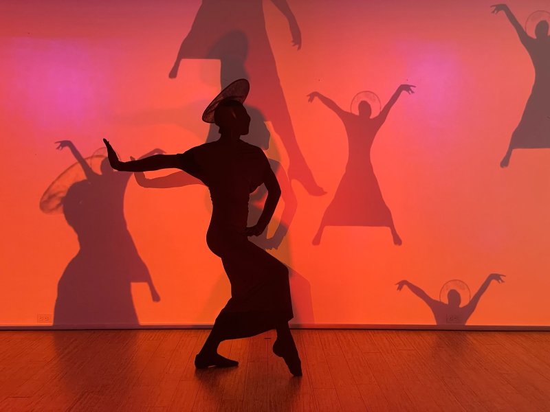 Silhouetted figure in a wide-brimmed hat and flowing dress striking a pose against a vibrant orange and pink gradient wall with multiple shadows.