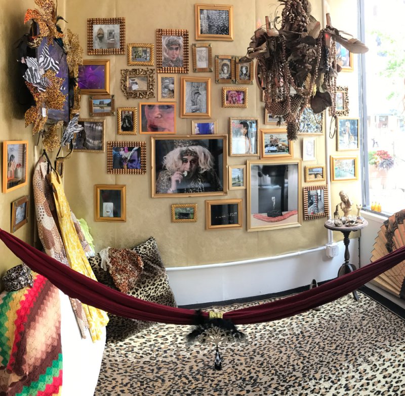 Gallery wall covered in framed photos and art, a dark red hammock, and leopard print carpet.