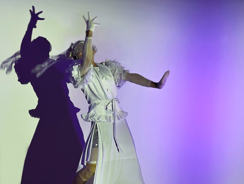 Performer in white ruffled dress and gloves, striking a pose with arms raised, casting a large shadow on a purple and white wall.