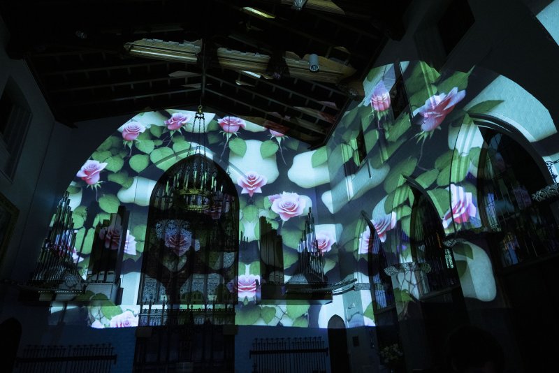 Projection of pink roses and green leaves on a dark church interior, highlighting arched windows and architectural details.