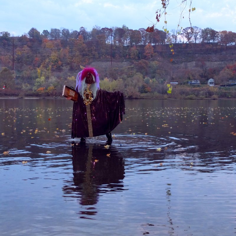 Person in a dark purple cloak, mask, and pink hair stands in a lake, holding a book, with autumn trees behind.