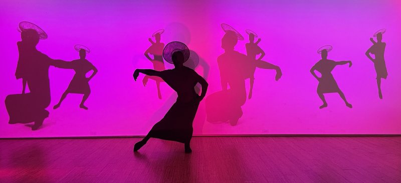 Silhouetted figure in a wide-brimmed hat and long dress striking a pose, with multiple projected shadows on a vibrant pink wall.