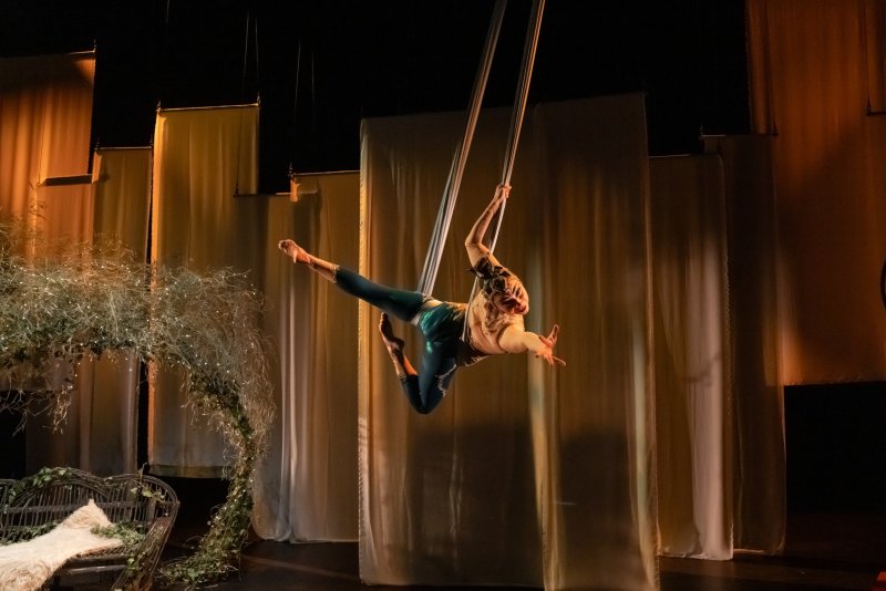 Acrobat in teal and gold costume hangs from white silks, extending one arm, against a backdrop of sheer white drapes and a twisted tree.