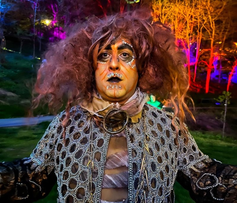 A person in theatrical makeup and costume with a large wig, against a backdrop of trees lit in vibrant colors.