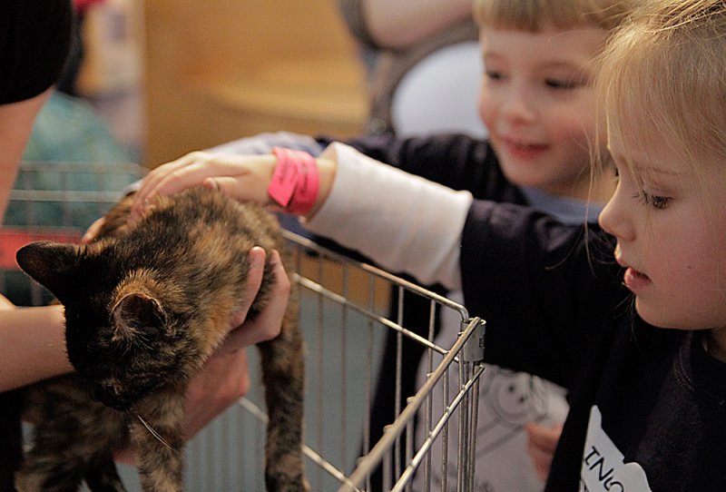 Two young children, a boy and a girl, interacting with a calico kitten held by an unseen person.