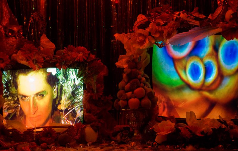Installation with two monitors displaying a face and abstract shapes, surrounded by red flowers, fruit, and decorative objects, all lit with a warm, theatrical glow.