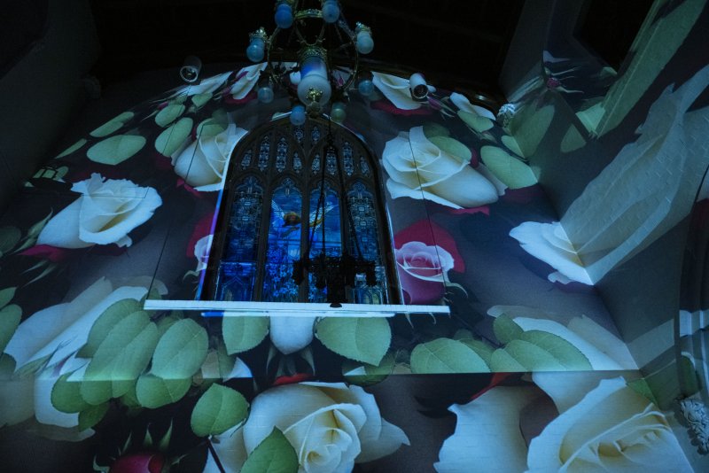Projection of white and red roses with green leaves on a dark wall, surrounding a stained-glass window and a chandelier.