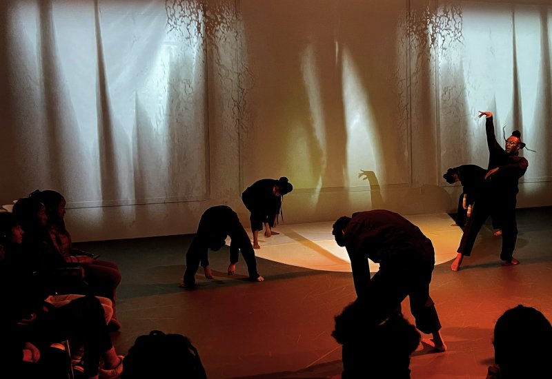 Performance art piece with silhouetted dancers in black against a white backdrop with projected shadow patterns. Audience members sit in the foreground, bathed in warm orange light.