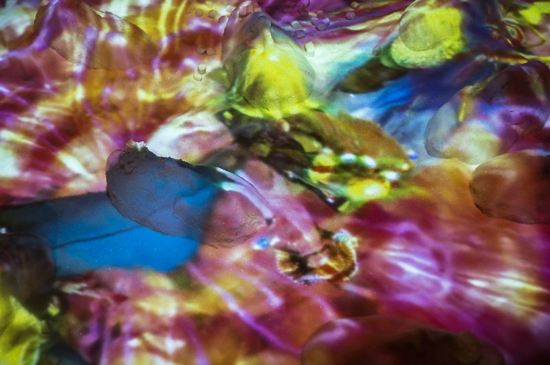 Abstract digital art with swirling patterns of yellow, blue, pink, and purple, resembling melted sugar.