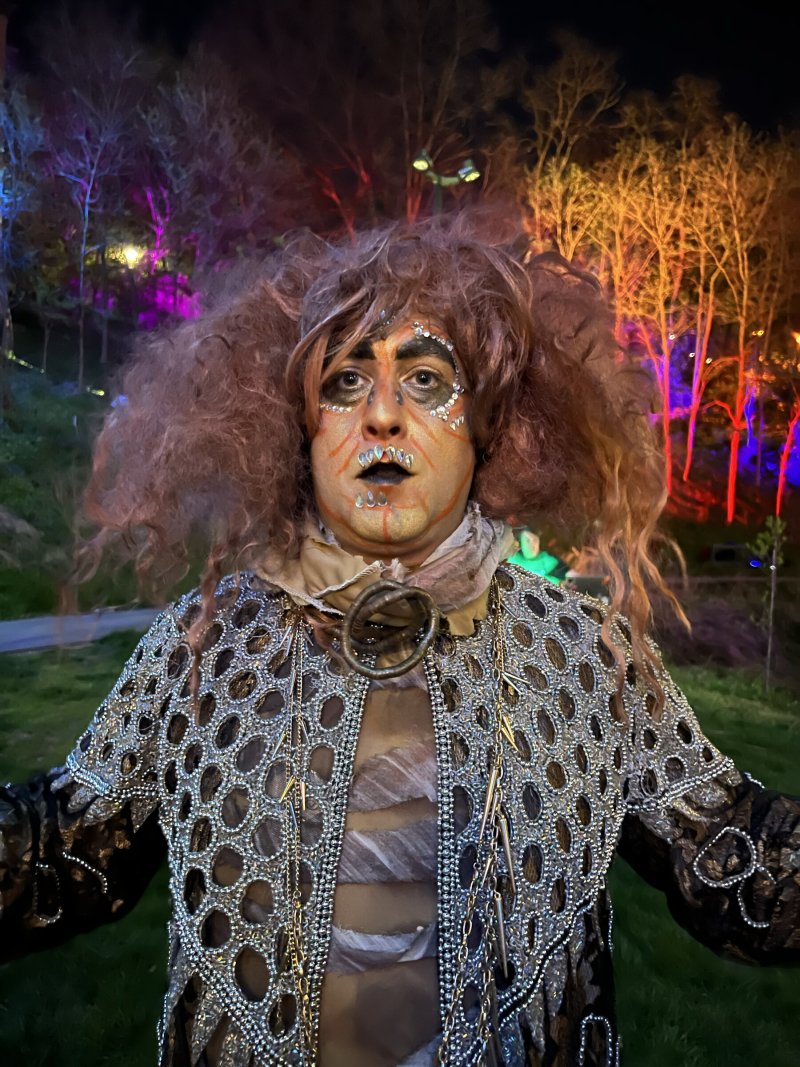 Person in elaborate costume and makeup, with large curly hair, against a backdrop of colorful, lit trees at night.
