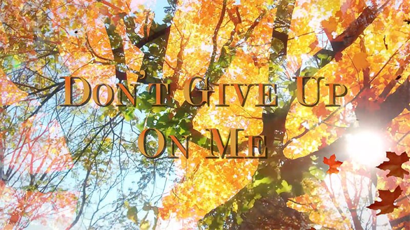 Autumnal scene with orange and yellow foliage, branches silhouetted against a blue sky. Text overlay reads "DON'T GIVE UP ON ME" in orange, with a sun flare and falling leaves.