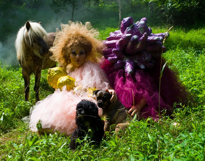 Two figures in elaborate costumes, one pink and one purple, with a horse and two dogs in a lush green forest.